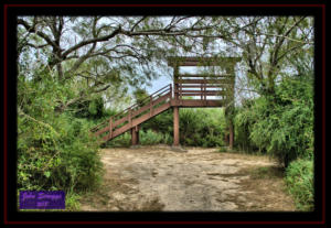 Adolph Thomae County Park Birding Overlook