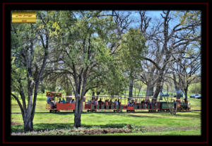 Cooke County Texas Leonard Park Gainesville Steam Train Replica