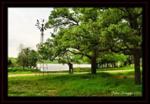 Pond and Windmill
