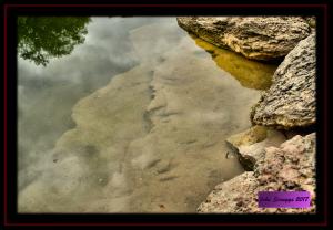 Blue Hole Dinosaur Tracks