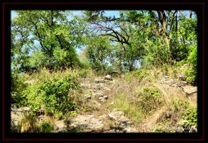 Scenes Along the Hiking Trails