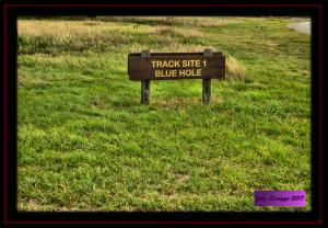 Blu Hole Sign