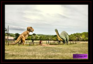 Dinosaur Display