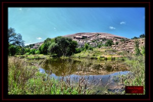 South Face across Frog Pond