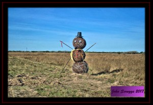 Barbed Wire Ball Snowman - Found Just South of Goliad, Texas on US Highway  183