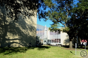 Kaufman County