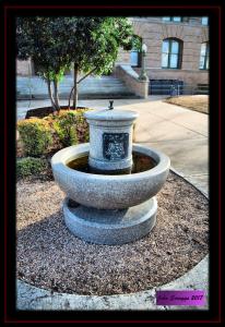 Horse / Dog Trough - Georgetown, Tx