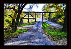 Abandoned Rail in Risien Park