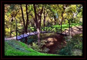 Bridge and Picnic Area in Risien Park