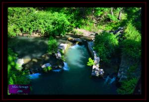 Nature Park - Water Works Ruins