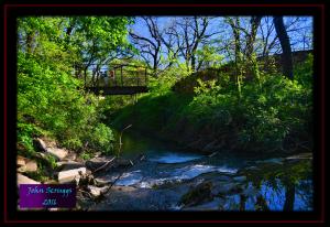 Nature Park North Bridge.