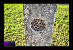 Edinburg Texas Great Western Trail Marker 2