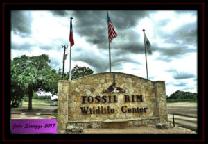 Fossil Rim Wildlife Center 1