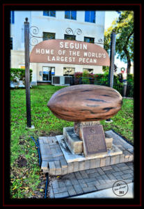 Guadalupe County Texas Seguin Worlds Largest Pecan