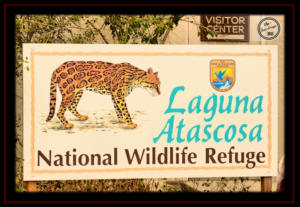 Laguna Atascosa NWR