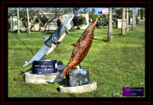 Painted Dolphins of Port Isabel