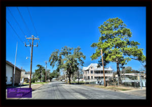 Roads built around the trees - LaGrange Texas