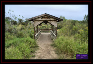 Sabal Palm Sanctuary Rio Grande Overlook