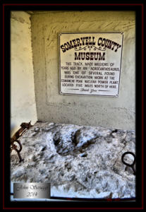 Somervell County Museum 1
