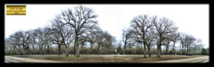 US67 1936 Bankhead Highway Rest Area Hopkins County TX Panorama
