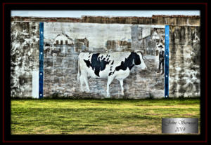 Wall Mural Cameron Texas 2014