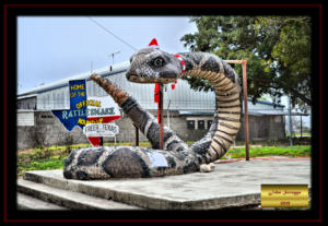 World's Largest Rattlesnake Freer Texas